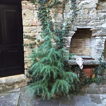 Stone House Heitzler Holiday home Groznjan